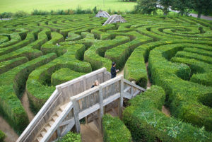 A garden maze