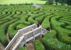 A man standing on the steps leading to an open maze.